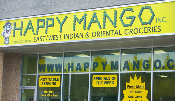 Image of Happy Mango