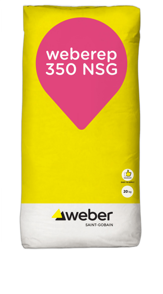 weberep 350 NSG