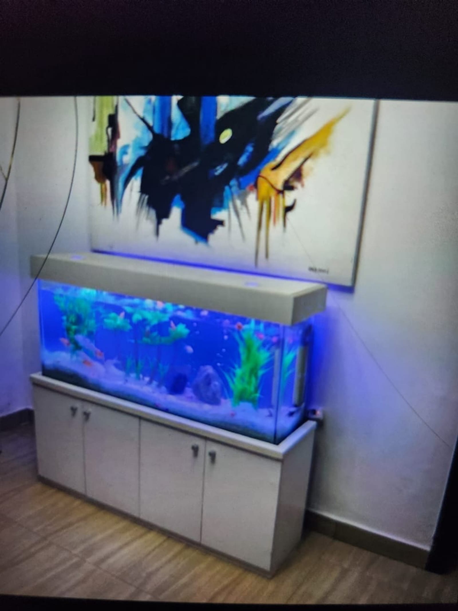 Aquarium Installation by Metrixpool Construction Co. in Nigeria