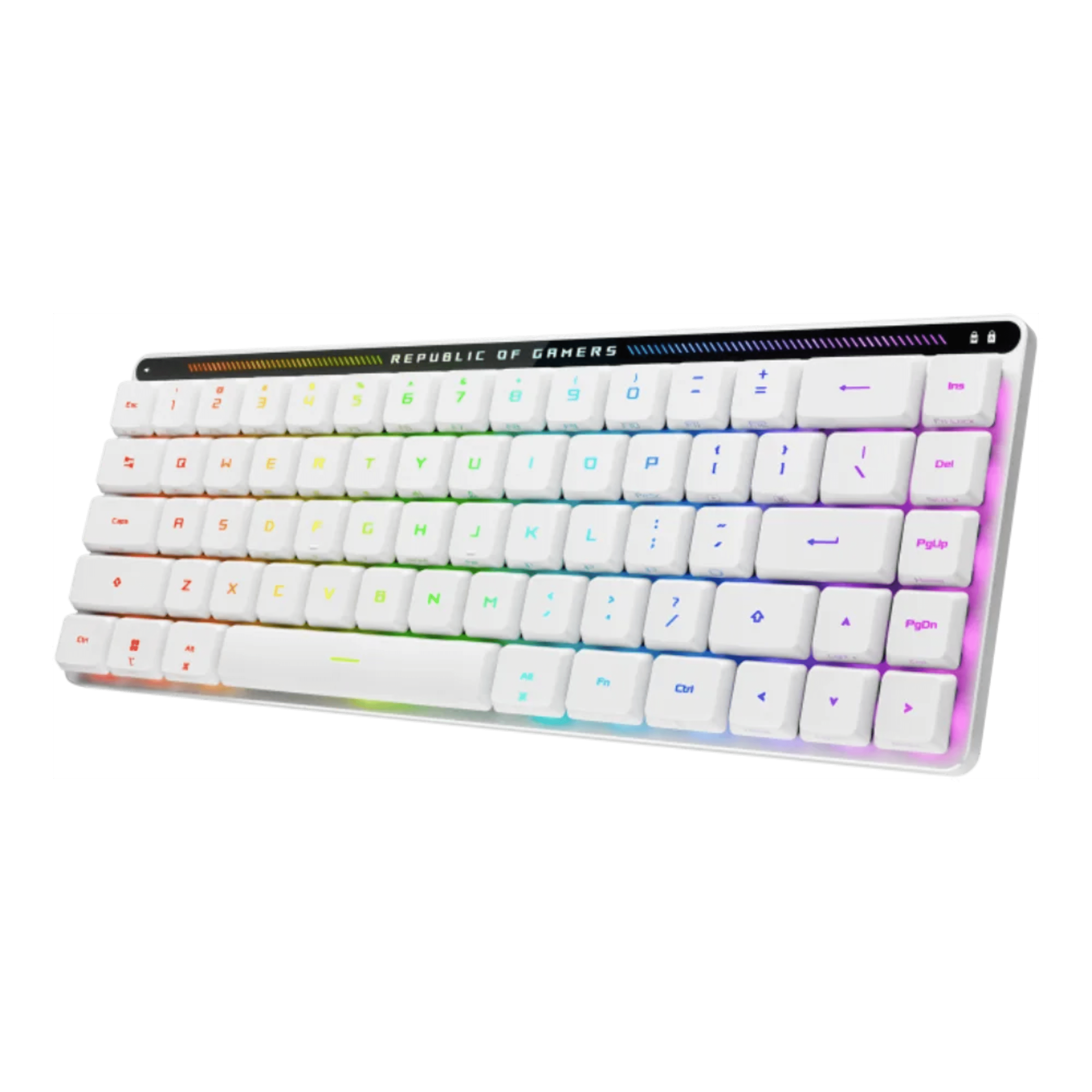 ASUS M603 FALCHION RX LP/RLRD/US 4 ASUS M603 FALCHION RX LP/RLRD/US thumbnail 4