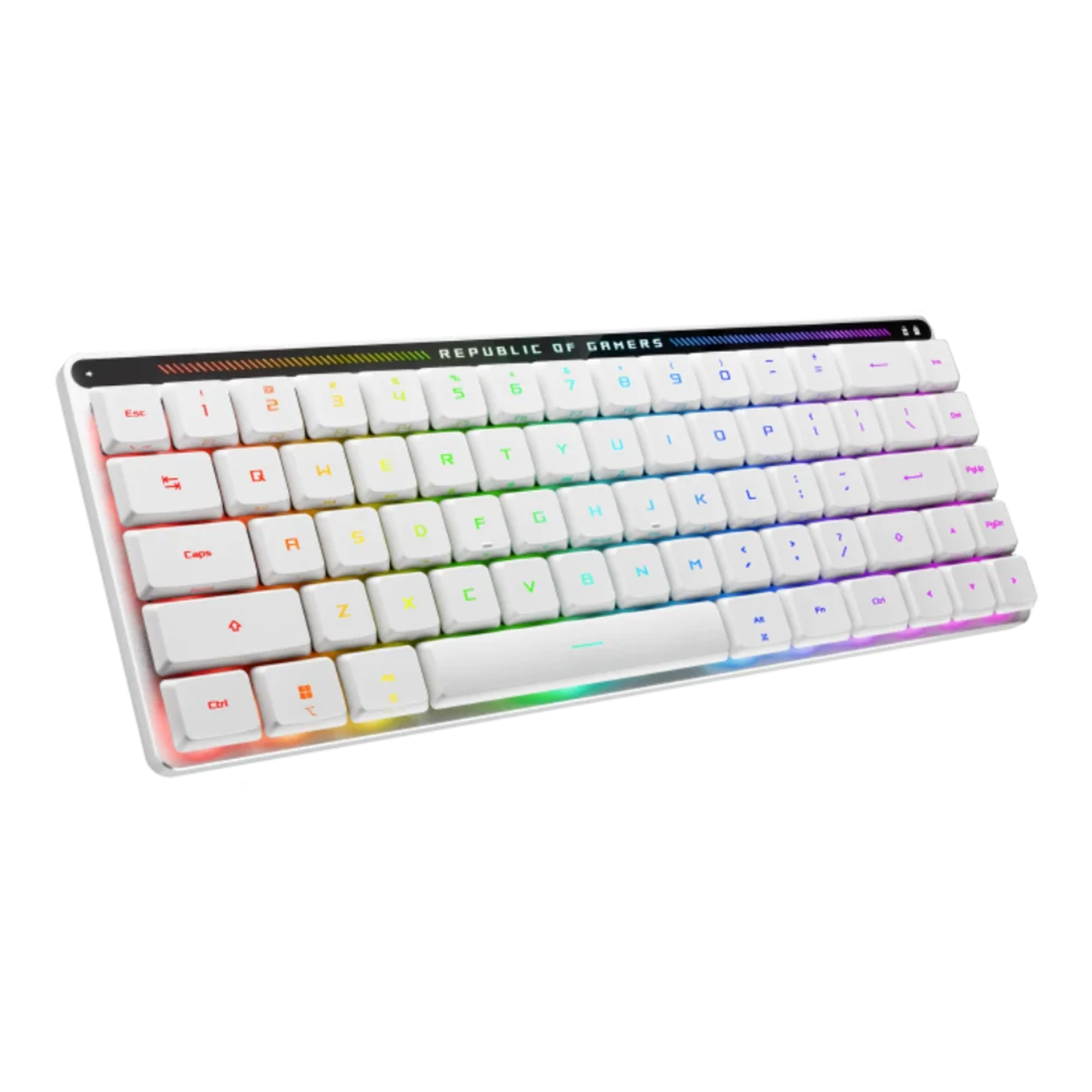 ASUS M603 FALCHION RX LP/RLRD/US 2 ASUS M603 FALCHION RX LP/RLRD/US thumbnail 2
