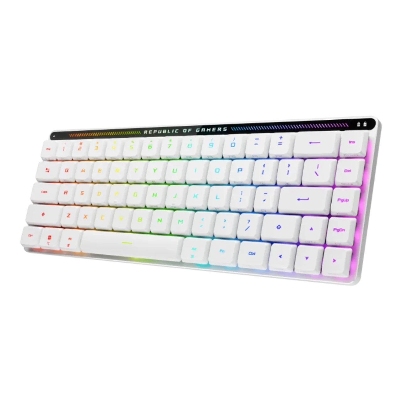 ASUS M603 FALCHION RX LP/RLRD/US  - Main Image