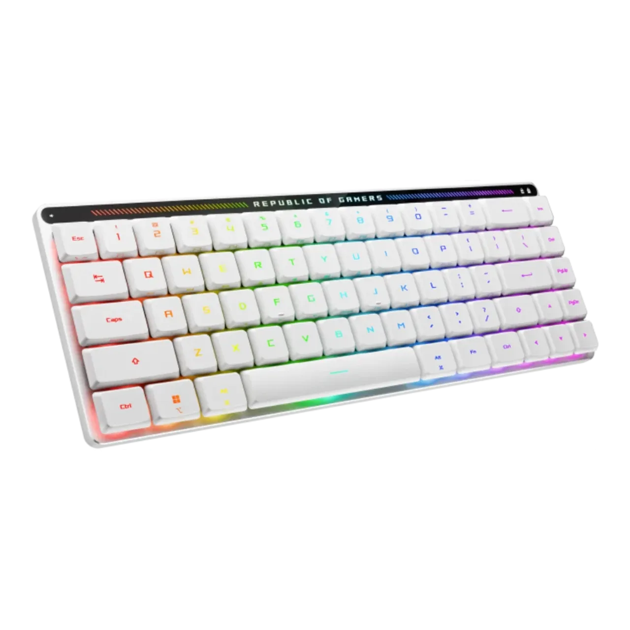 ASUS M603 FALCHION RX LP/RLRD/US  thumbnail 3