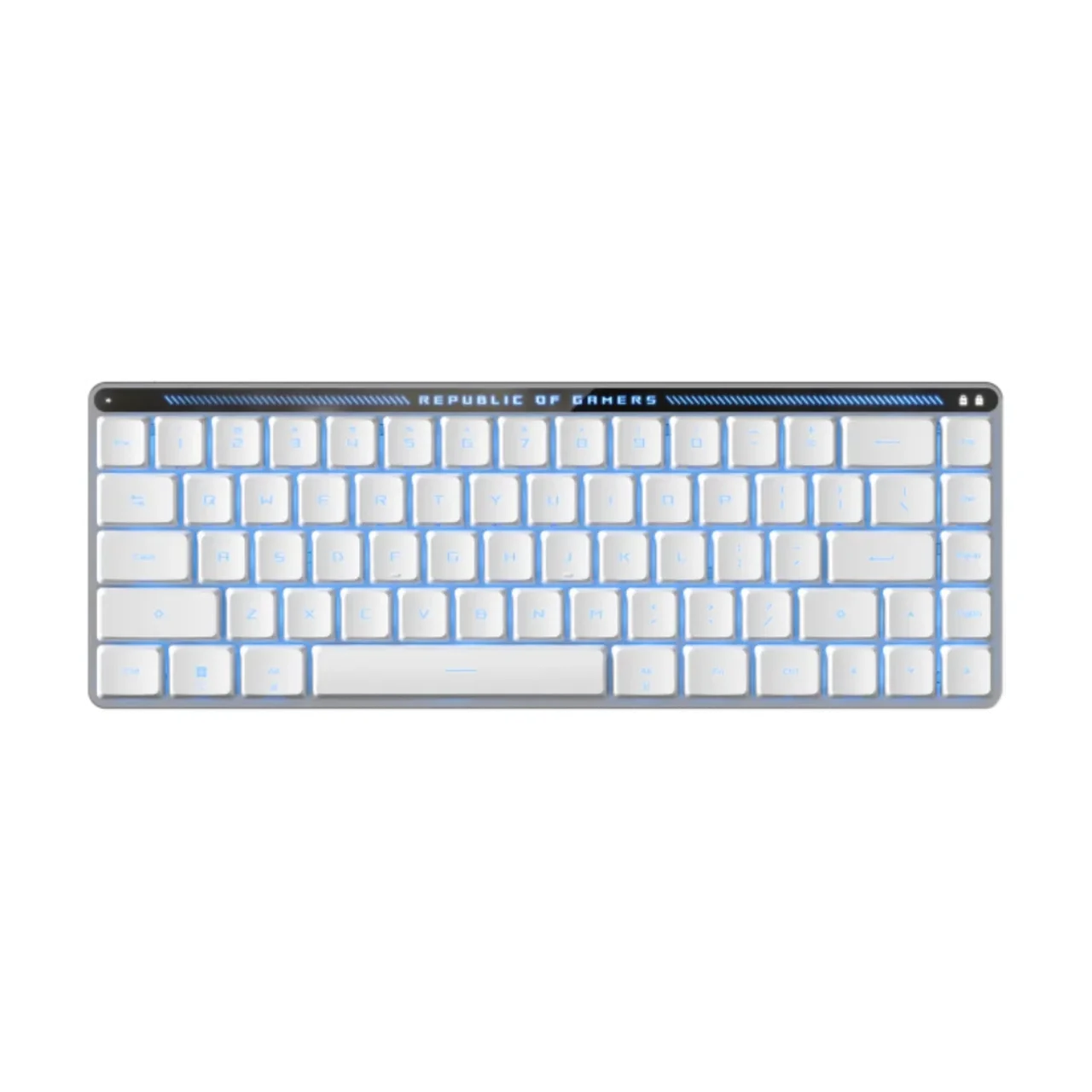 ASUS M603 FALCHION RX LP/RLRD/US  thumbnail 4