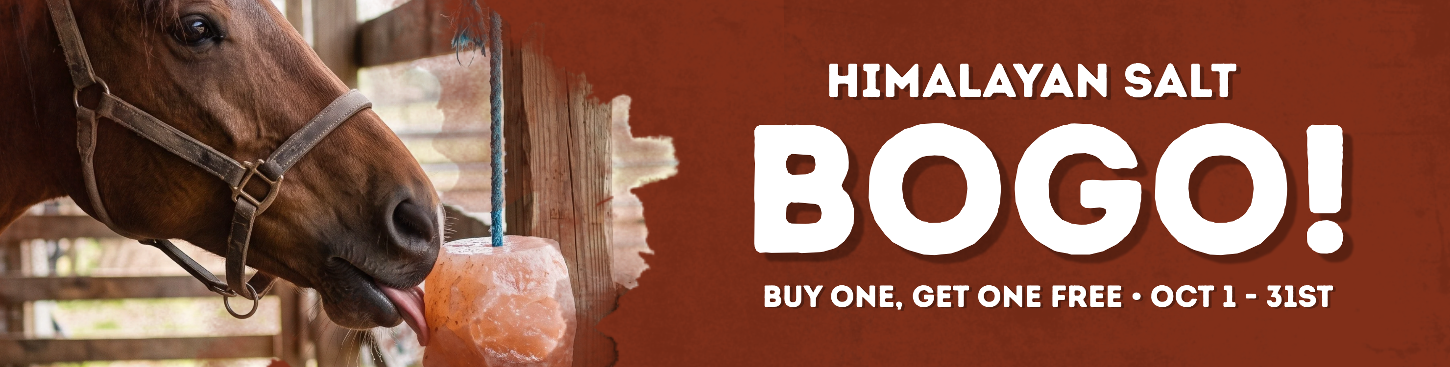 Buy one, get one on Himalayan salt at Lakeside Feed — shop Gatsby and Likit salt in stock