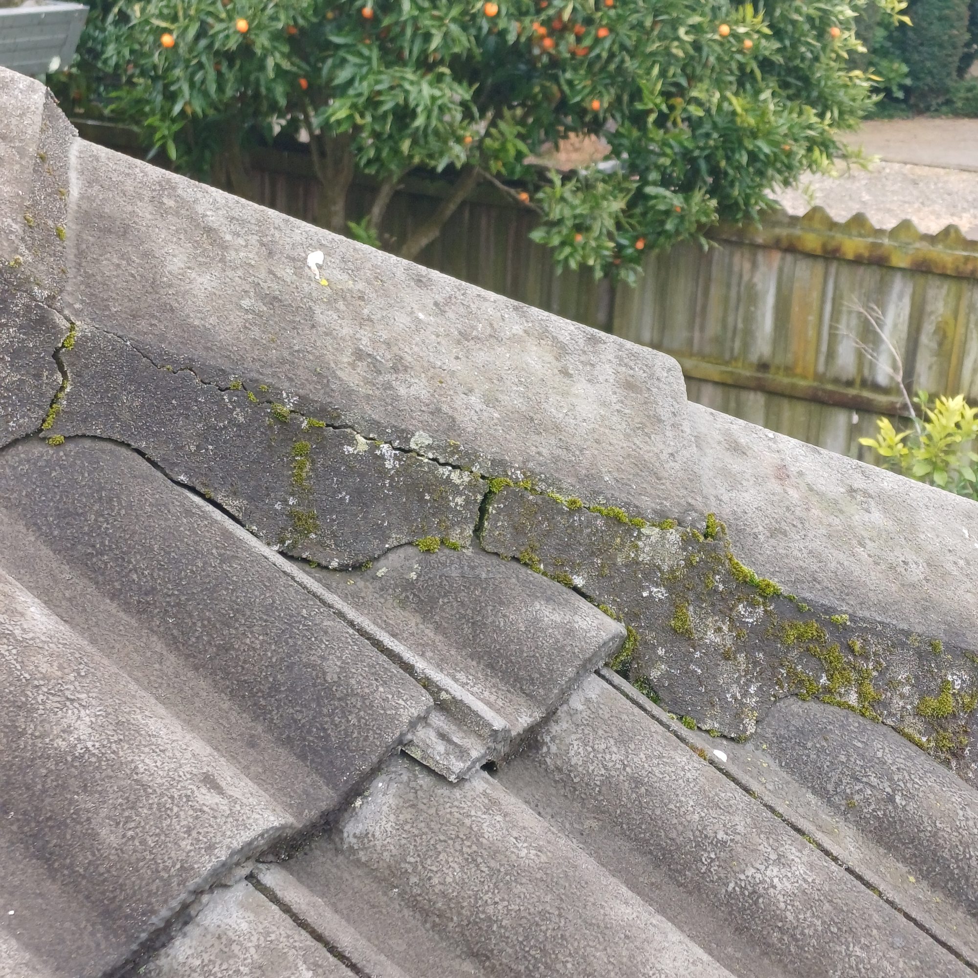 cracked ridge pointing, moss