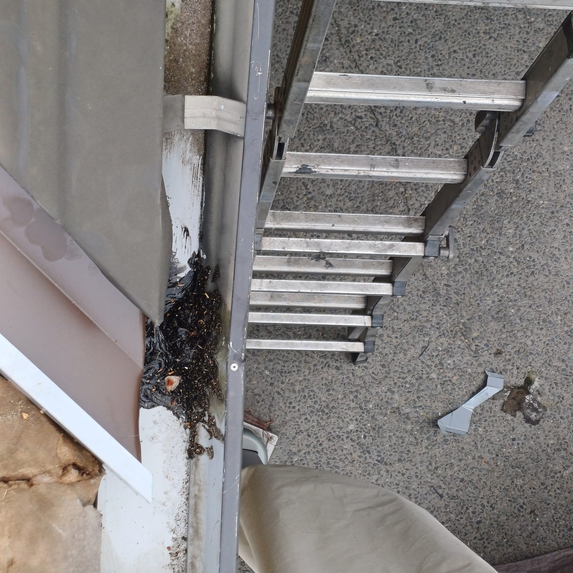 debris in gutter