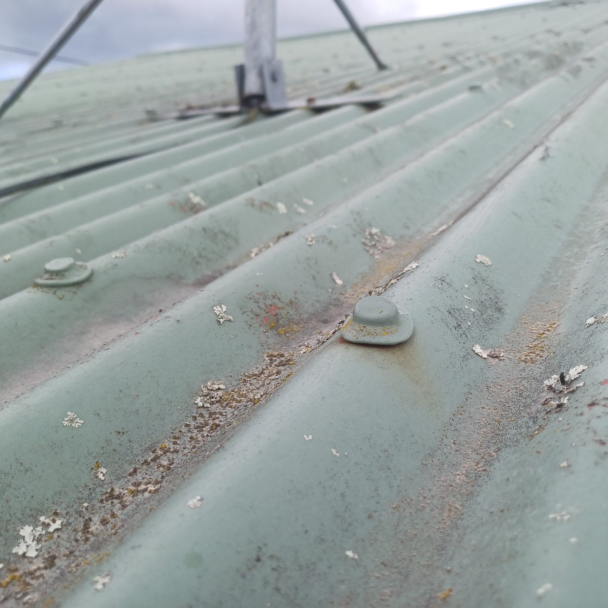 lichen/moss,rust,faded paint