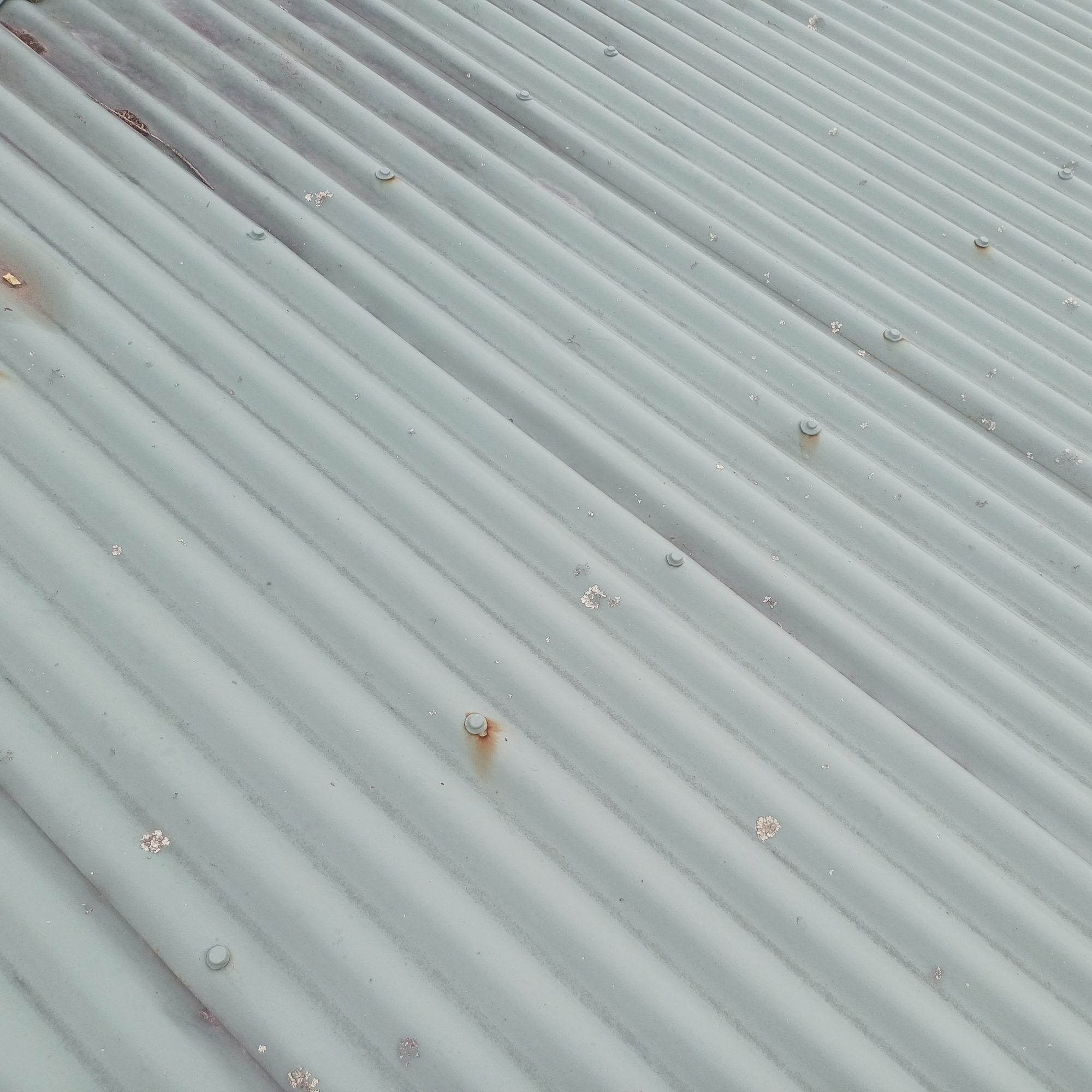 rust