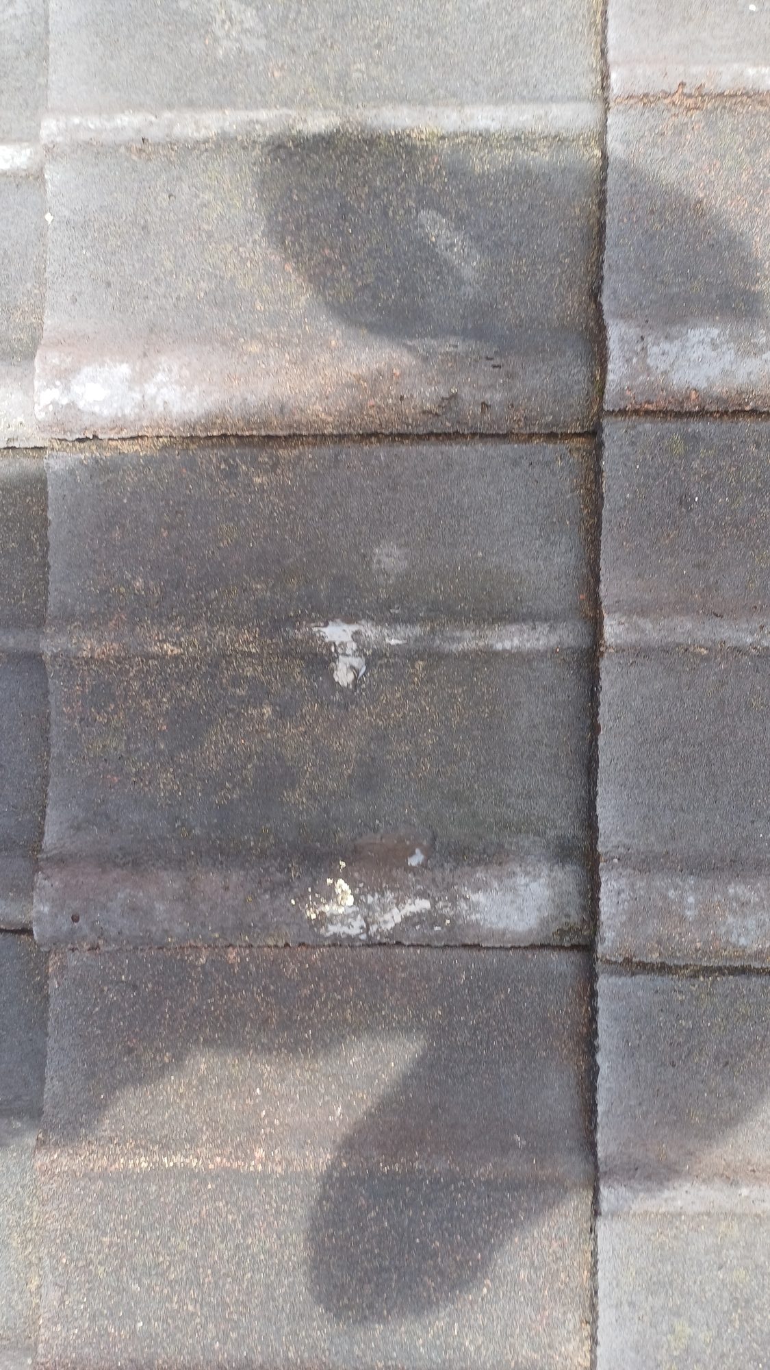 dirty old roof