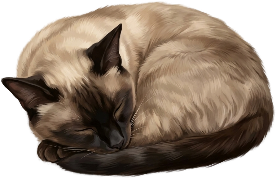 Thunder the cat napping