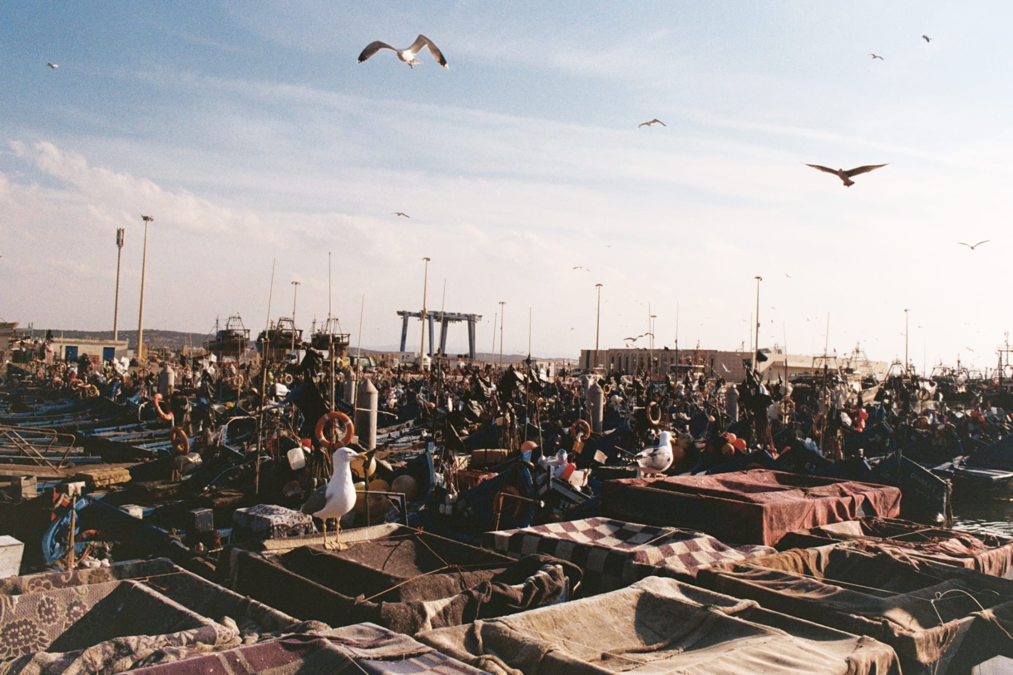 Film photograph by Felix Prijs, 9
