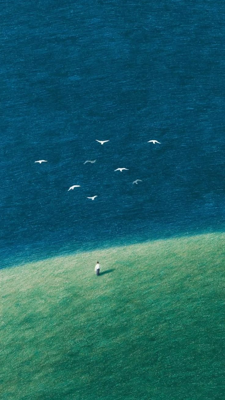 Wallpaper