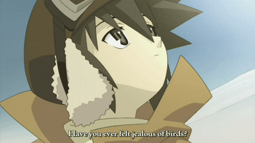 Have you ever felt jealous of birds?