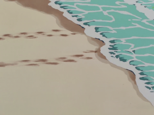 Ocean