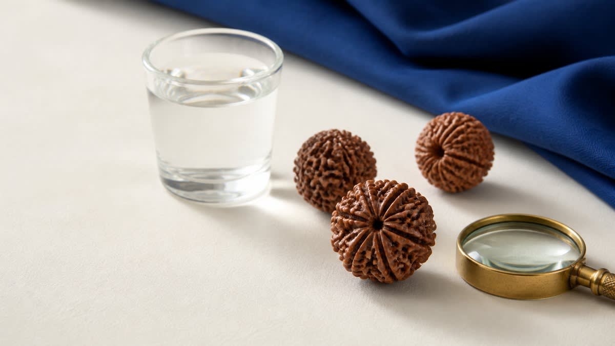 How to Identify Real Rudraksha: 5 Field Tests