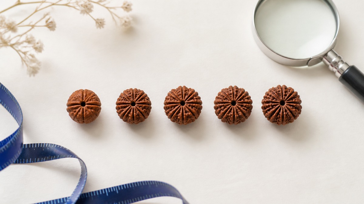 Five Rudraksha beads used for authenticity checks