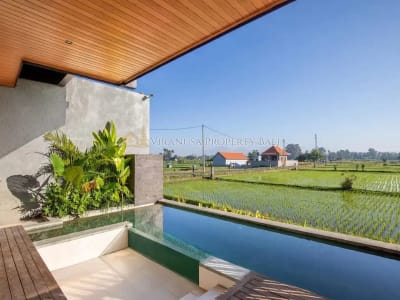 Dua Villa Modern dengan 180° Rice Field View di Ubud - Thumbnail 2
