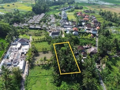 [DIJUAL] Tanah Matang 10,5 Are Zona Campuran di Mambal Badung – Dekat Green School &amp; Ubud - Thumbnail 2