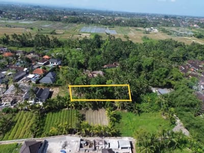[DIJUAL] Tanah Matang 10,5 Are Zona Campuran di Mambal Badung – Dekat Green School &amp; Ubud - Thumbnail 6