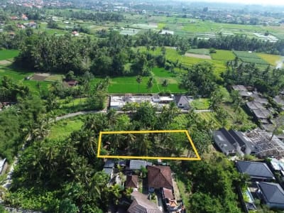 [DIJUAL] Tanah Matang 10,5 Are Zona Campuran di Mambal Badung – Dekat Green School &amp; Ubud - Thumbnail 1