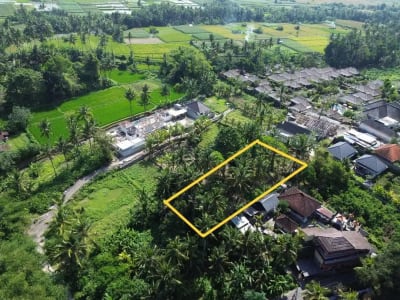 [DIJUAL] Tanah Matang 10,5 Are Zona Campuran di Mambal Badung – Dekat Green School &amp; Ubud - Thumbnail 3