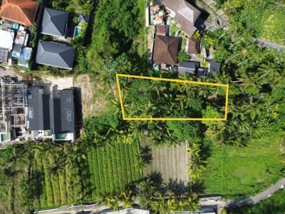 [DIJUAL] Tanah Matang 10,5 Are Zona Campuran di Mambal Badung – Dekat Green School &amp; Ubud - Thumbnail 7