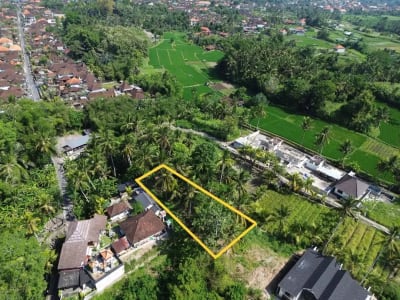 [DIJUAL] Tanah Matang 10,5 Are Zona Campuran di Mambal Badung – Dekat Green School &amp; Ubud - Thumbnail 4