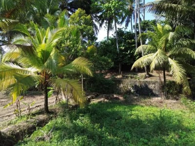 [DIJUAL] Tanah Matang 10,5 Are Zona Campuran di Mambal Badung – Dekat Green School &amp; Ubud - Thumbnail 10