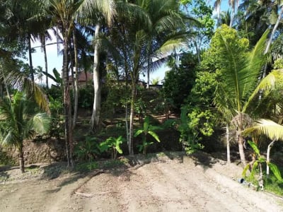 [DIJUAL] Tanah Matang 10,5 Are Zona Campuran di Mambal Badung – Dekat Green School &amp; Ubud - Thumbnail 9