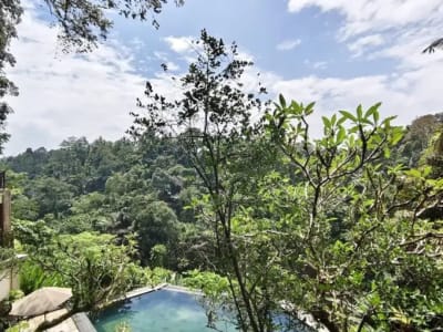 TANAH BONUS BANGUNAN HOTEL DI KEDEWATAN UBUD - Thumbnail 3