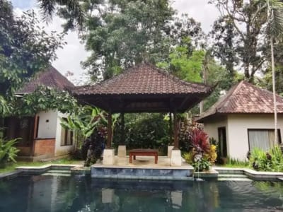 TANAH BONUS BANGUNAN HOTEL DI KEDEWATAN UBUD - Thumbnail 5