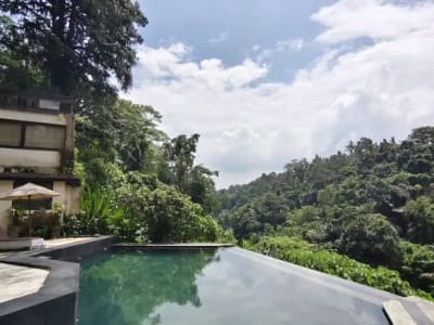 TANAH BONUS BANGUNAN HOTEL DI KEDEWATAN UBUD - Thumbnail 4