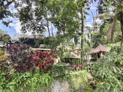 TANAH BONUS BANGUNAN HOTEL DI KEDEWATAN UBUD - Thumbnail 6