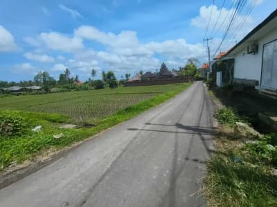 Tanah 650m2 View Sawah Lingkungan Villa Mewah Kemenuh Ubud - Thumbnail 2