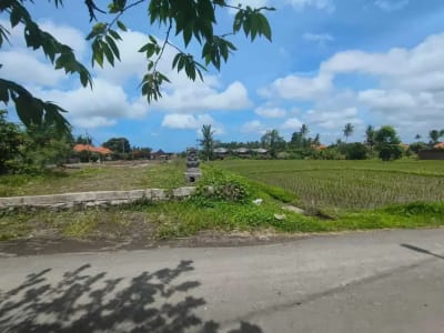 Tanah 650m2 View Sawah Lingkungan Villa Mewah Kemenuh Ubud - Thumbnail 1