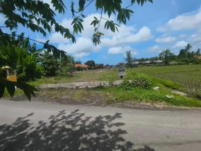 Tanah 650m2 View Sawah Lingkungan Villa Mewah Kemenuh Ubud - Thumbnail 5