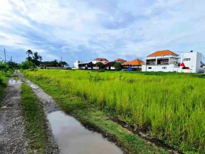 Tanah zona pariwisata Pantai Cemagi Canggu Bali - Thumbnail 5