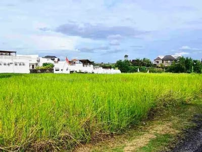 Tanah zona pariwisata Pantai Cemagi Canggu Bali - Thumbnail 4
