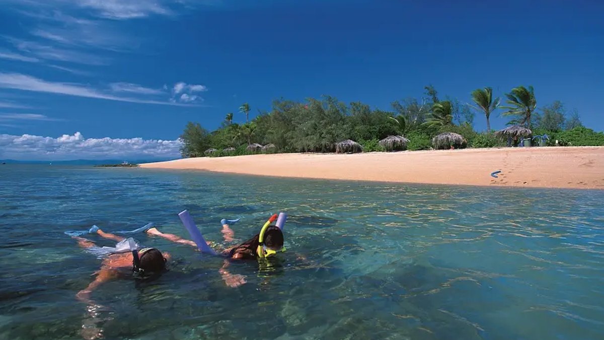 Rainforest to Reef tour package launched - rainforest reef