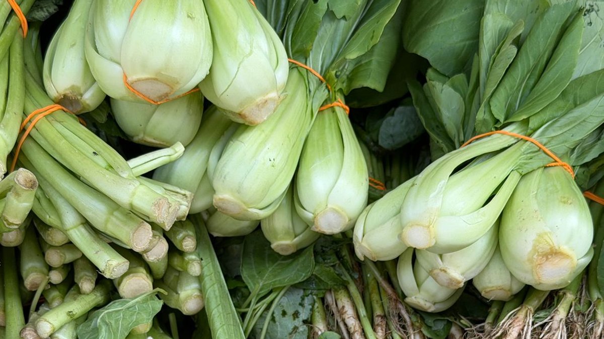 Fiber questioned as natural GLP-1 booster Fiber questioned as natural GLP-1 booster - fiber glp-1