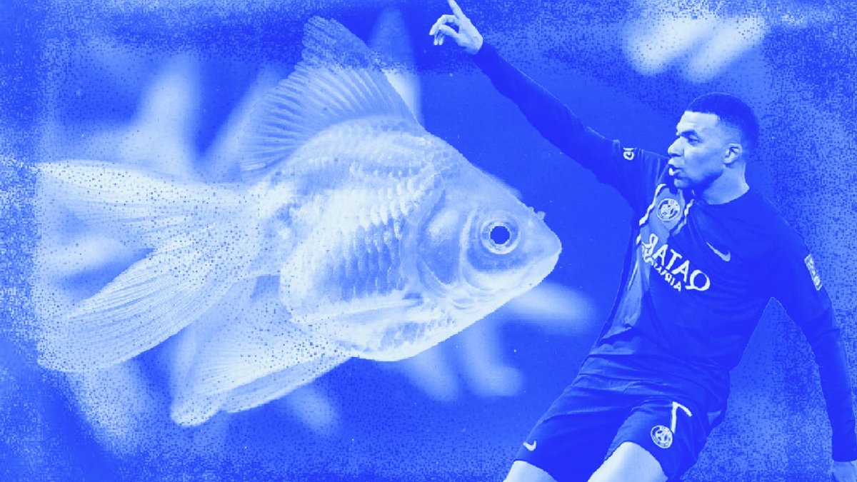 AI takes on goldfish in World Cup test AI takes on goldfish in World Cup test - ai goldfish
