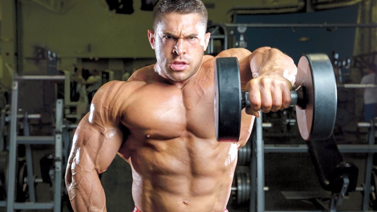 Hard Realities of Muscle Building Unveiled Hard Realities of Muscle Building Unveiled - muscle building