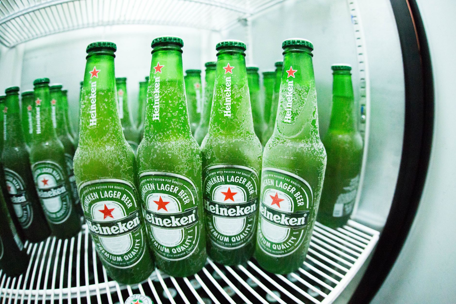 Do Wine Fridges Get As Cold As Regular Fridges?