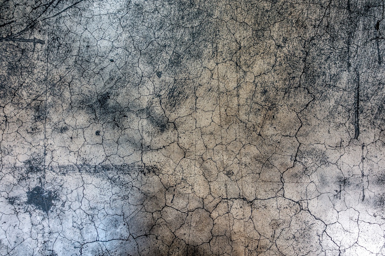 My Roof Has Been Damaged. Now What?