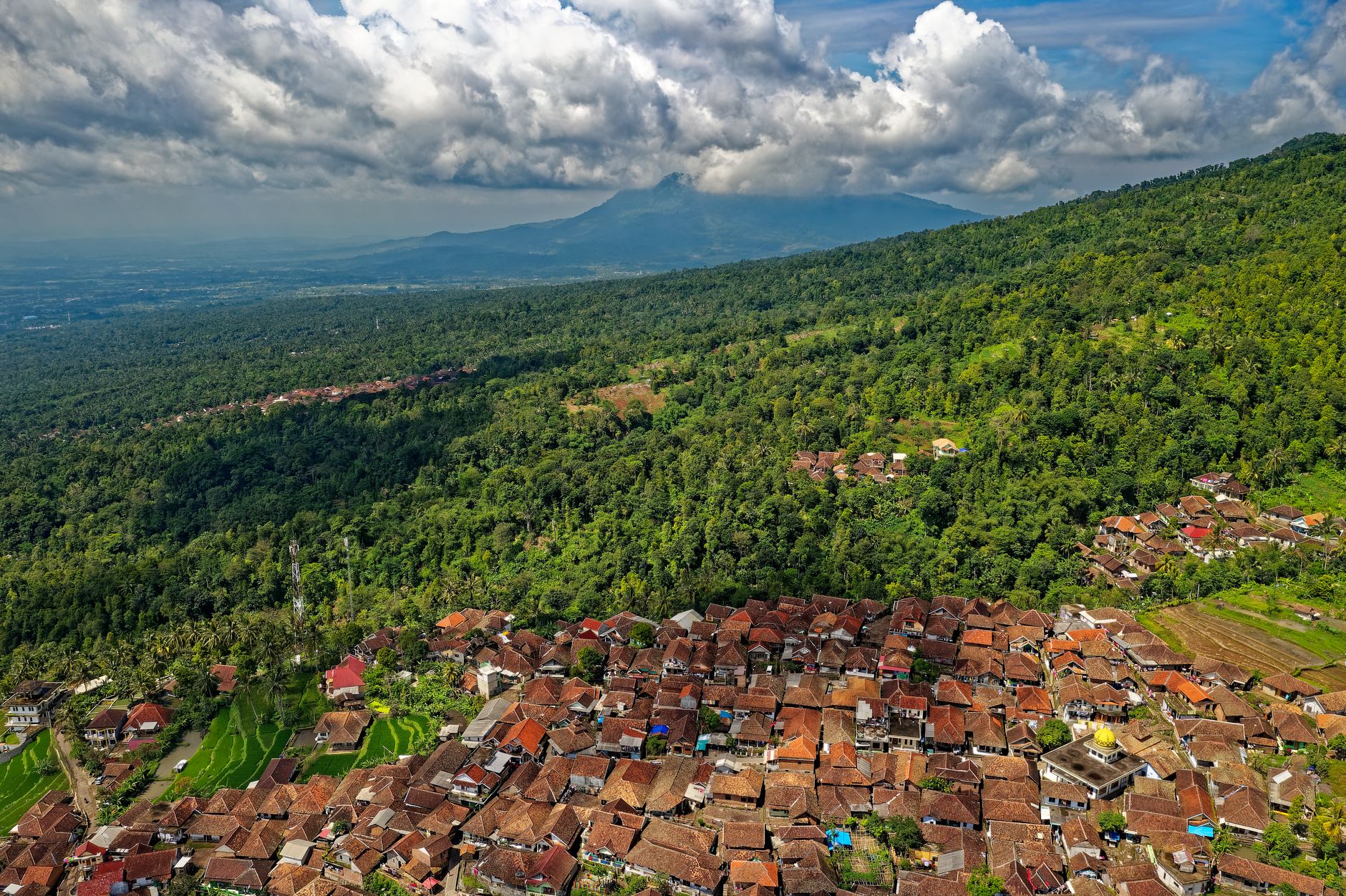 Overview of Persatuan Ahli Farmasi Indonesia (PAFI) Kabupaten Karawang