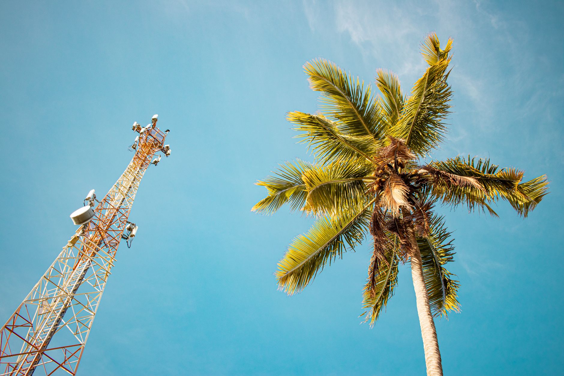The Importance of Telecoms in Modern Business: Why Communication Still Drives Growth