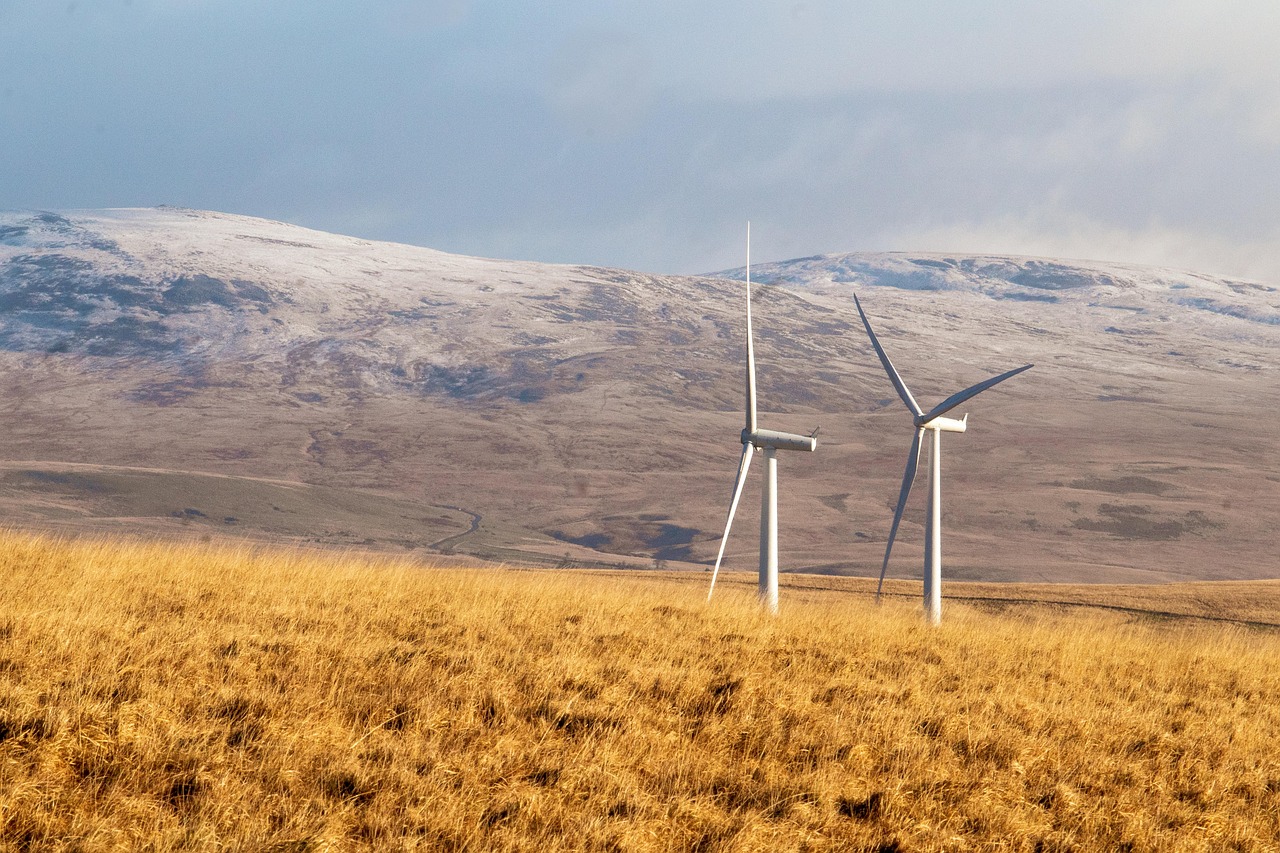 Check Maximo for Energy: The Importance of Energy Management Systems