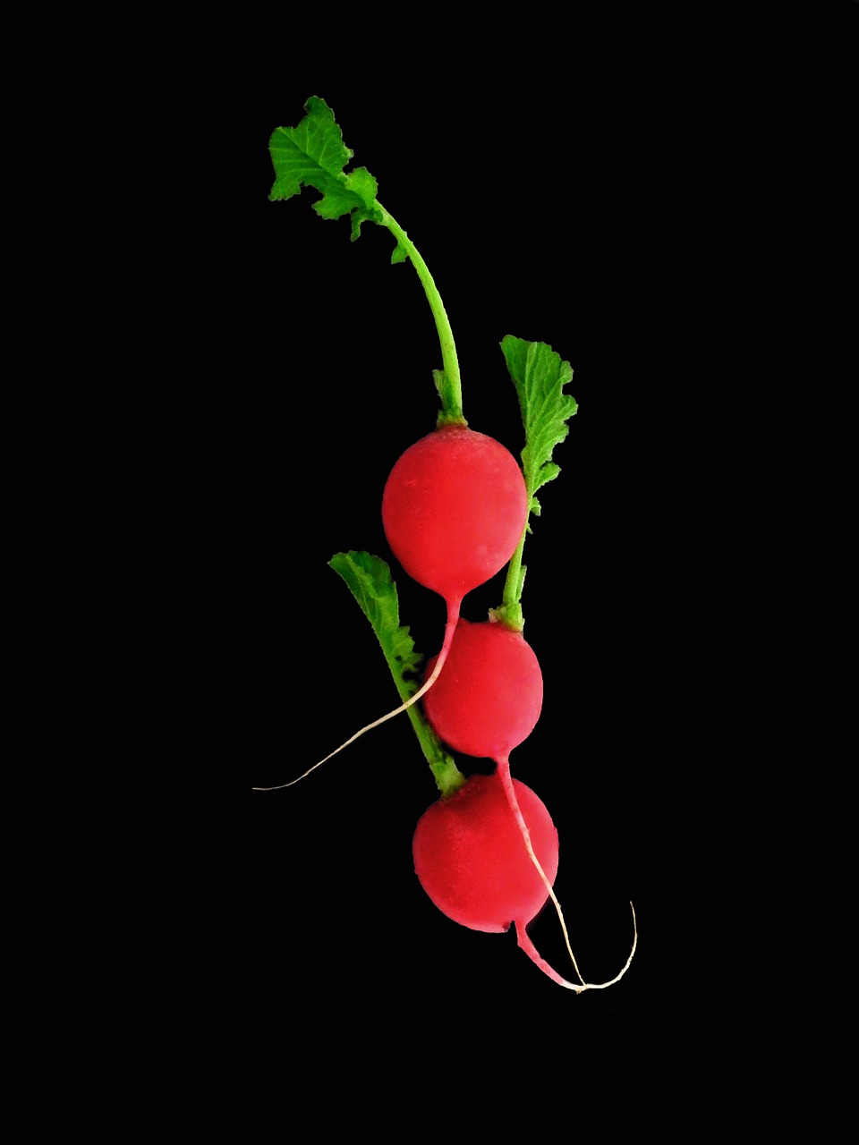 4 hidden benefits of diligently eating vegetables