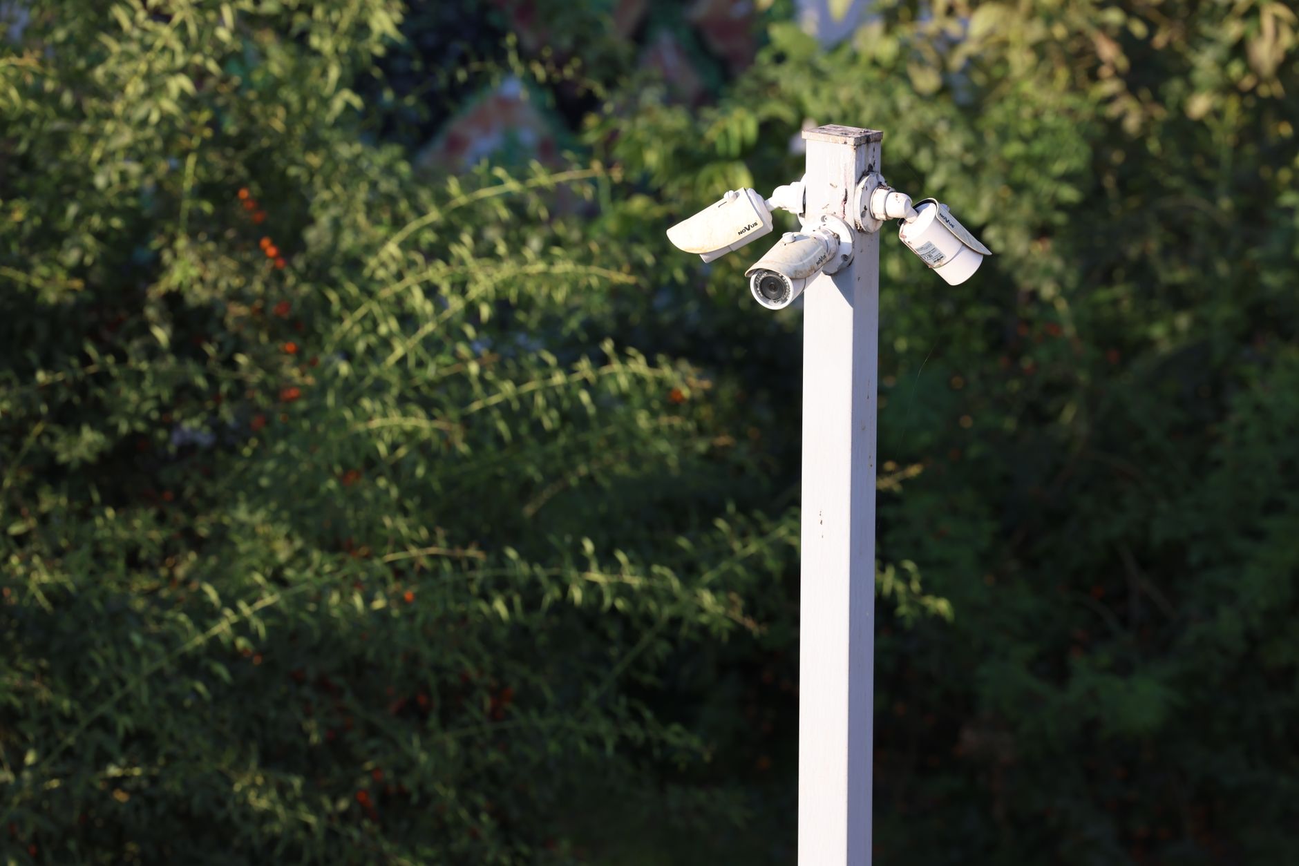 Everything You Should Know About Security Camera Systems